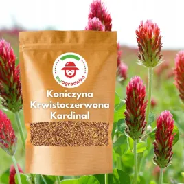 koniczyna-krwistoczerwona-1-kg-idealna-dla-pszczol-na-poplon-miododajna-c-1