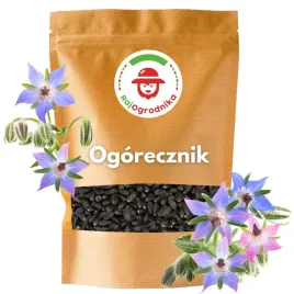 ogorecznik-lekarski-100g-nasiona-ziol-roslina-miododajna-miododajna