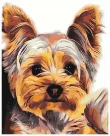 malowanie-po-numerach-30x40cm-york