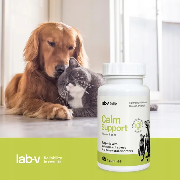 lab-v-calm-support-na-stres-45-kapsulek-postac-kapsulki-zelatynowe