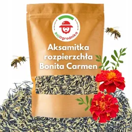 aksamitka-rozpierzchla-bonita-carmen-nasiona-100g-kwitnie-cale-lato-kwiaty