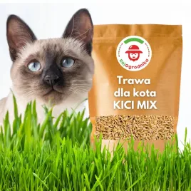 trawa-dla-kota-kici-mix-nasiona-100g-mieszanka-zbozowa-z-szybkimi-wschodami