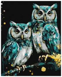 malowanie-po-numerach-madre-sowy