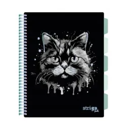 kolozeszyt-a4-100-pads-animals-kot-czarny-strigo