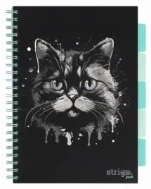 kolozeszyt-b5-100-pads-animals-kot-czarny-strigo