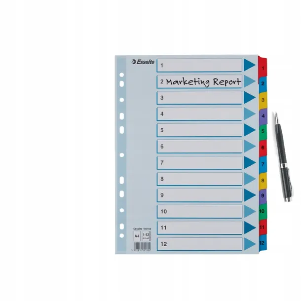przekladki-a4-1-12-mylar-esselte-kolor-wielokolorowy