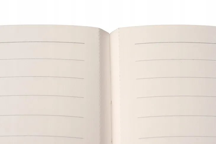 notes-indeed-b5-linia-czarny-antra-marka-antra