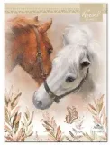 notes-9x12cm-horses-and-me-argus