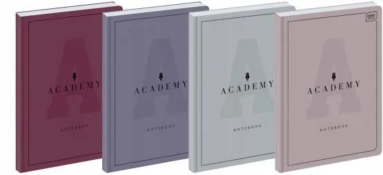 brulion-a4-96-academy-interdruk