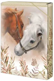 teczka-box-na-dokumenty-a4-horse-and-me-argus