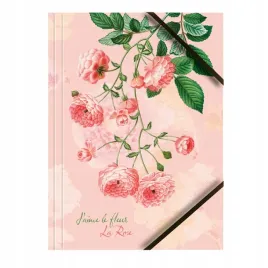 teczka-kartonowa-z-gumka-roze-a4-tetis