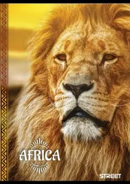 zeszyt-street-africa-a6-40-argus