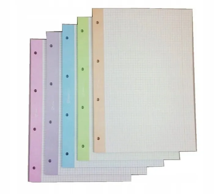 wklad-do-segregatora-a4-50-kratka-kolor-interdruk