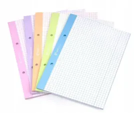 wklad-do-segregatora-a5-50-kratka-kolor-interdruk