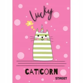zeszyt-street-my-cat-a6-40-argus