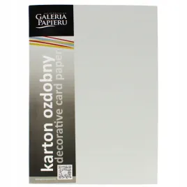 karton-ozdobny-gladki-jasnoszary-satynowy-210g-gal