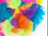 piorka-5-12-cm-5-g-exotic-dp-craft
