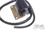 cewka-zaplonowa-piaggio-826115-producent-czesci-inny