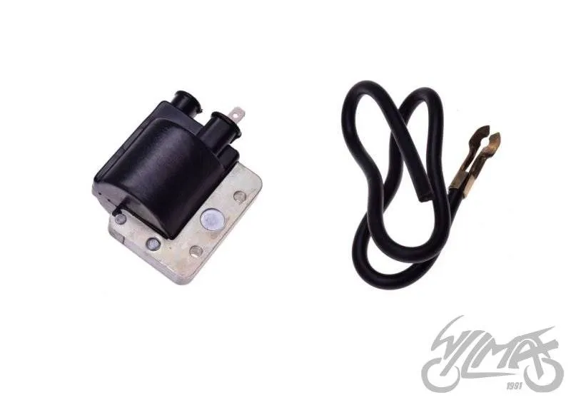 cewka-z-modulem-bajaj