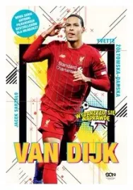 van-dijk-holenderska-skala-y-zoltowska-darska