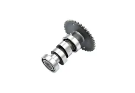 walek-rozrzadu-gy6-125-150ccm-4t-agility-16-power-force