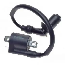 cewka-zaplonowa-bashan-bs250s-5-shineray-xy250stxe