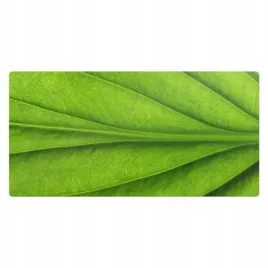 antyposlizgowa-ochronna-mata-na-biurko-detale-liscia-w-naturze-120x60-cm