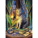 puzzle-1000-magic-collection-ksiega-cieni-trefl-kod-producenta-5900511108996