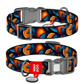 waudog-obroza-nylon-z-qr-pomarancze-xxl-35mm-46-70cm