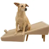 pufa-rampa-podnozek-dla-psa