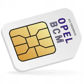 i-o-terminal-lic-opel-bcm-delphi-bosch-continental
