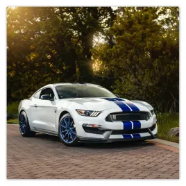 naklejki-30x30-ford-mustang-samochod-usa