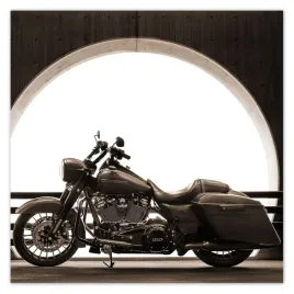 naklejki-30x30-harley-davidson-motocykl