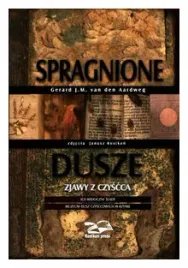 van-den-aardweg-spragnione-dusze-zjawy-z-czysca