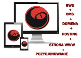strona-internetowa-www-ssl-rwd-pozycjonowanie-cms