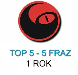 pozycjonowanie-stron-google-top-5-5-fraz-pozycjonowanie-stron-www-linki-seo