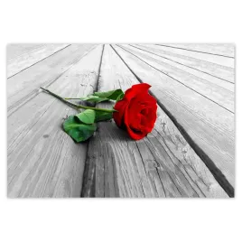 baner-200x135-czerwona-roza-na-deskach