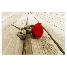 baner-200x135-czerwona-roza-na-deskach