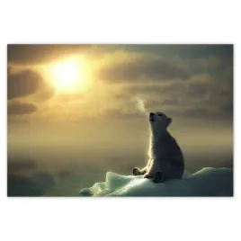 baner-200x135-zwierzeta-zwierzatka