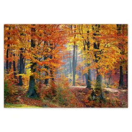 baner-200x135-zlota-jesien