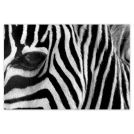 baner-200x135-czarno-biale-pasy-zebra