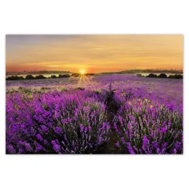 baner-200x135-lawenda-zachod-slonca