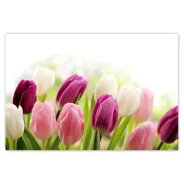 baner-200x135-piekne-tulipany