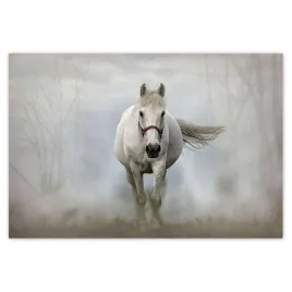 baner-200x135-kon-konie-jezdziectwo
