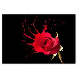 baner-200x135-rozpryskujaca-sie-roza