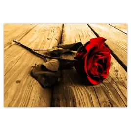 baner-200x135-roza-na-deskach-sepia