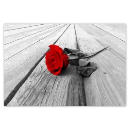 baner-200x135-czerwona-roza-na-drewnie