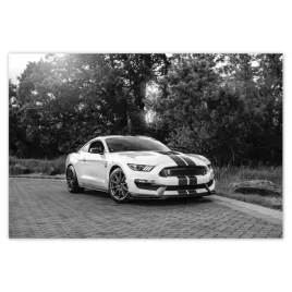 baner-200x135-sportowy-ford-mustang