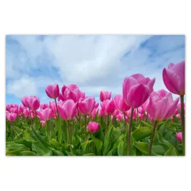 baner-200x135-tulipany-kwiaty-kwiatki
