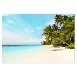 baner-200x135-tropiki-pejzaz-palmy